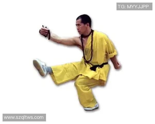 少林足球星爷连续摆拳展现无敌武技引爆全场热血风暴